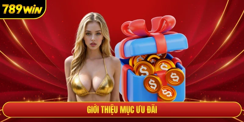 Giới thiệu mục ưu đãi