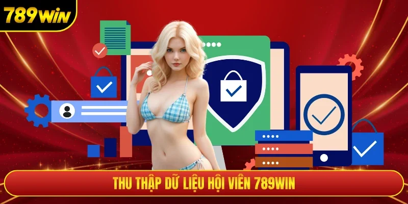 Thu thập dữ liệu hội viên 789WIN
